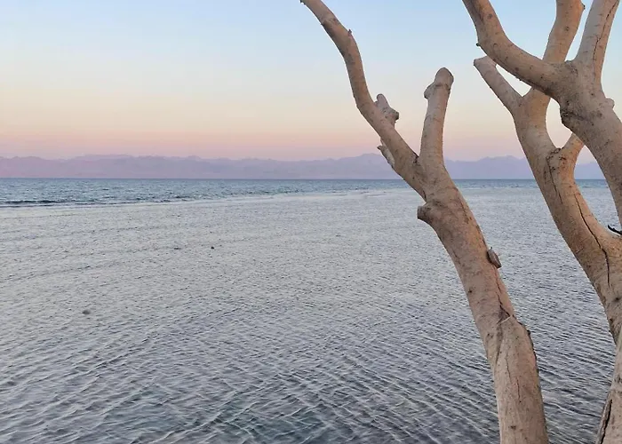 Salah Boutique Camp مكان تخييم نويبع
