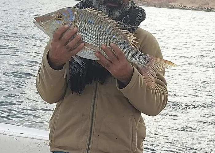 Salah Boutique Camp * نويبع